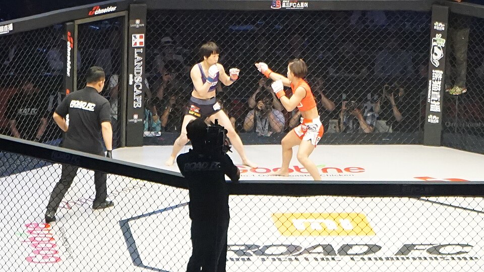 Seo Hee Ham, UFC women's strawweight