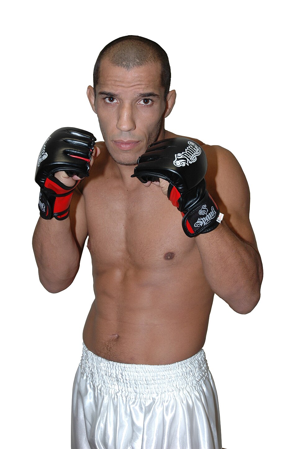 Luiz Azeredo, UFC fighter