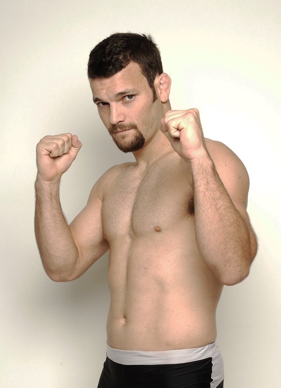Rodrigo Gracie, UFC fighter