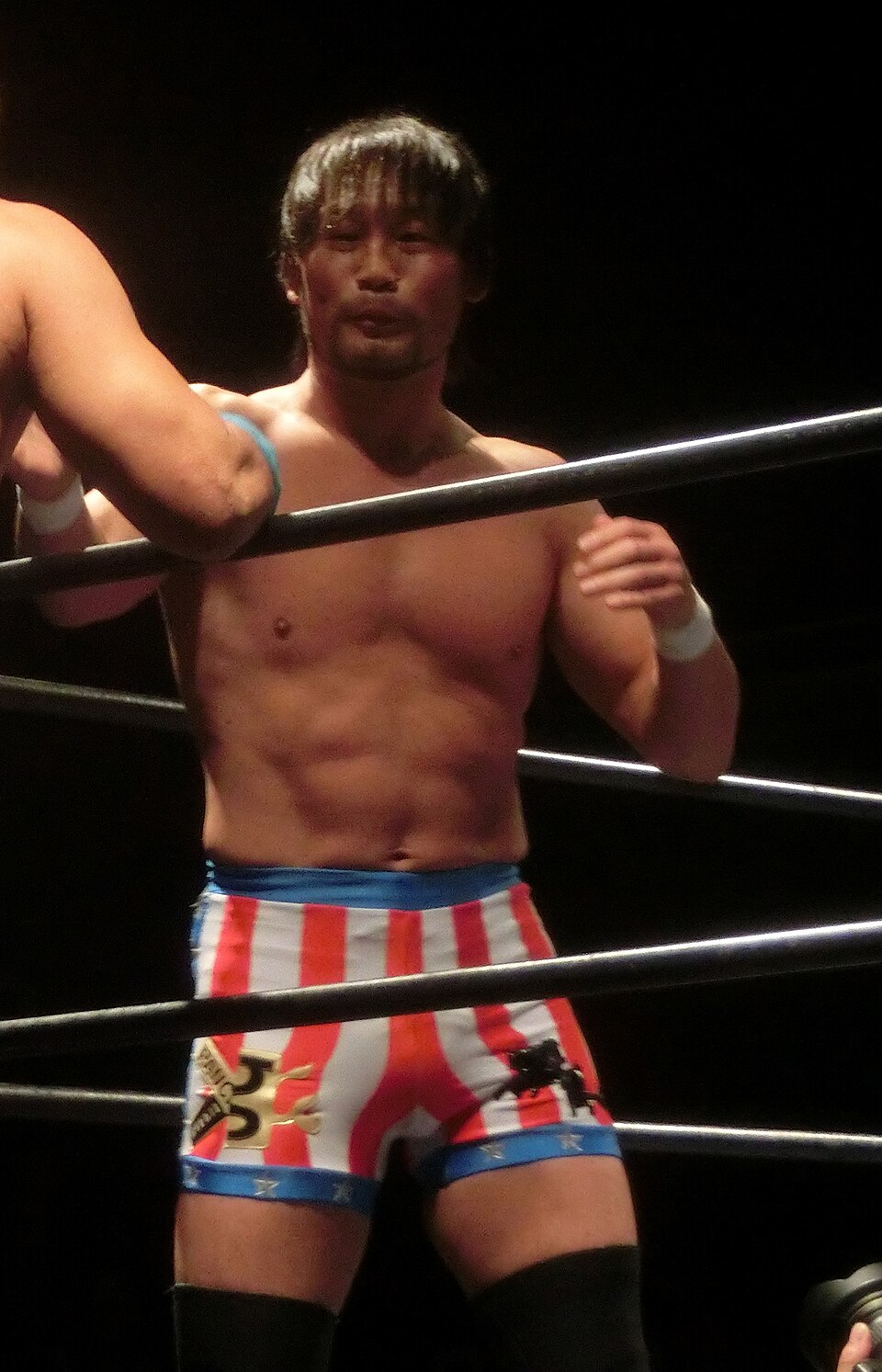 Keiichiro Yamamiya, UFC middleweight