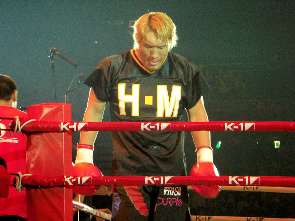 Hong Man Choi, UFC fighter