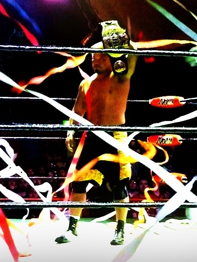 Takashi Sugiura, UFC fighter